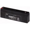 Batteria al Piombo 12V 2 Ah Ricaricabile - Extracell